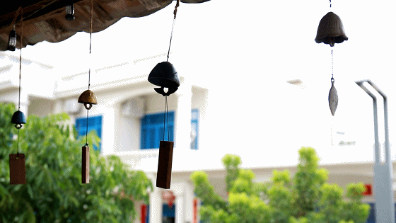 遇见不一样的天涯海角｜期待与你相遇，在浪漫多情的海边