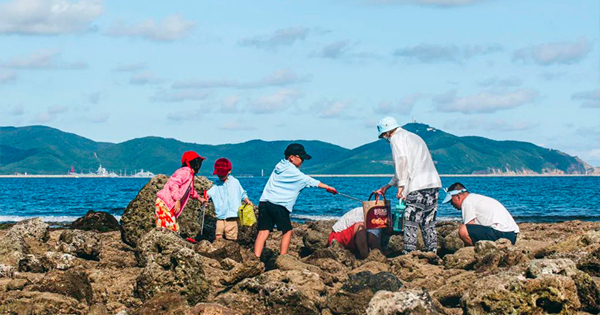 收好这份《三亚赶海指南》，人人都能当“海王”
