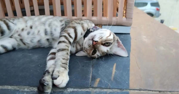 在后海感受大海边上小渔村的烟火与生活